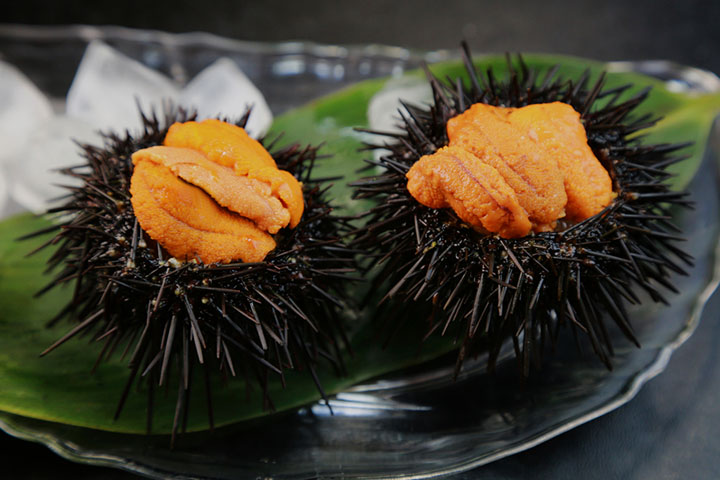 Live uni straight out of their shells
