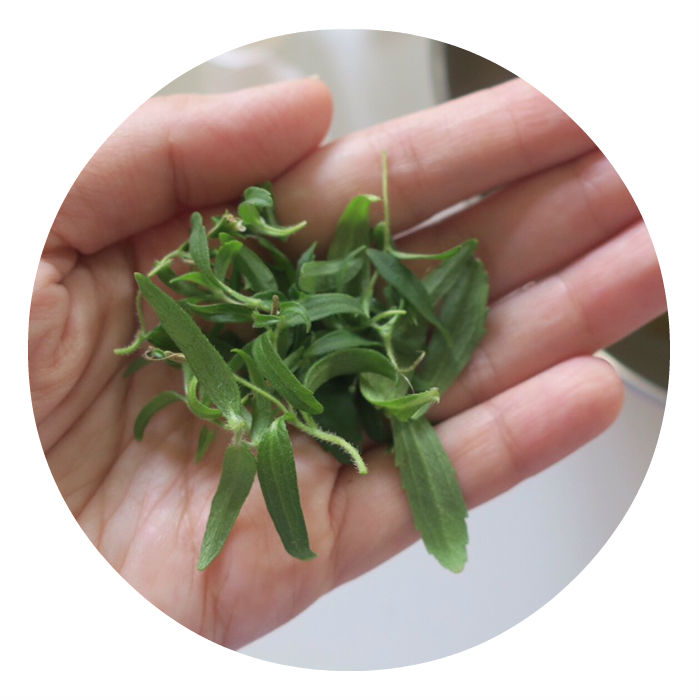 https://robert-parker-michelin-sg-prod.s3.amazonaws.com/media/image/2016/08/25/9dea26b188f14d7ebd2cb3830e17f8d9_stevia.jpg