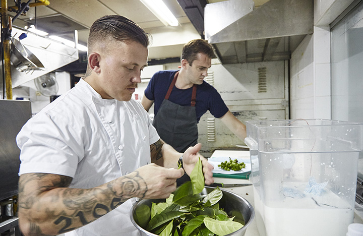Here, the chefs are making ricotta cheese using the sap of fig branches and goat's milk from Hay Dairies.