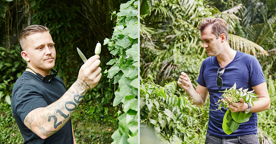 Left: Holland plucking wild cucumbers. Right: Lewis picking curry berries