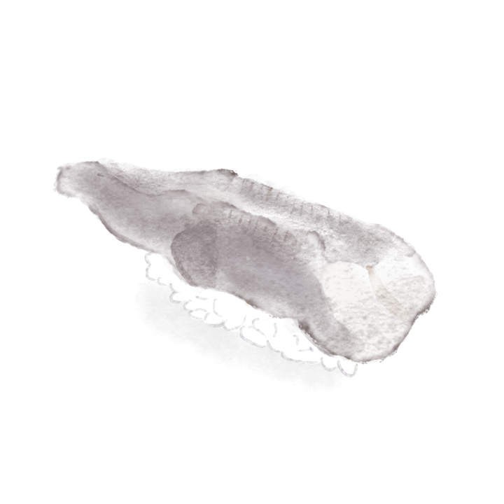 https://robert-parker-michelin-sg-prod.s3.amazonaws.com/media/image/2017/05/15/71f00b465eaf4b59a33e4af8f69796ea_Torigai.png