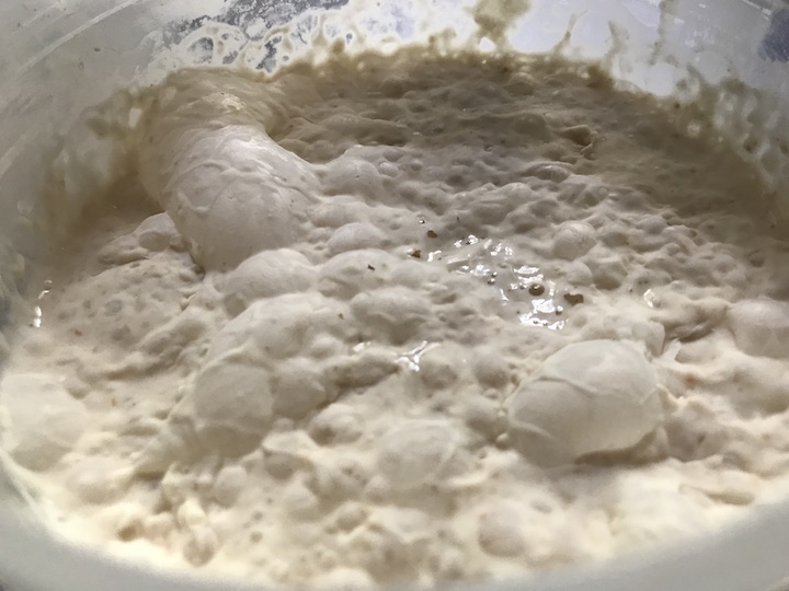 Good wild yeast activity bubbling in one of Firebake's sourdough starters