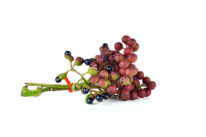 Sichuan peppers are really the berry of the Prickly Ash Tree